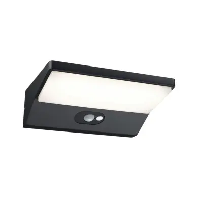 Applique Extérieur Ronea 7,4W Gris foncé Paulmann 94333
