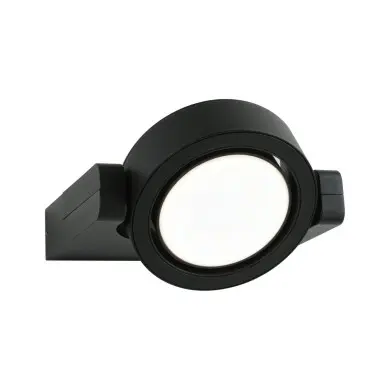 Applique Extérieur Swivea 8W Anthracite Paulmann 94406