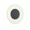 Applique Extérieur Circea 4W Anthracite Paulmann 94409