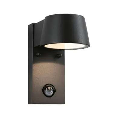 Applique Extérieur Capea 6W Anthracite P15,3 3000K Paulmann 94453