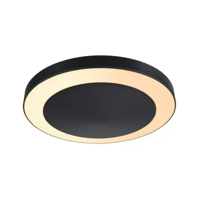Plafonnier Extérieur Circula 14W Anthracite 2200 - 3000K Paulmann 94525
