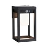 Applique Extérieur Solar Marisol 5,5W Noir Paulmann 94572