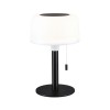 Luminaire rechargeable Extérieur Solar Bartja 1,6W Noir Paulmann 94607