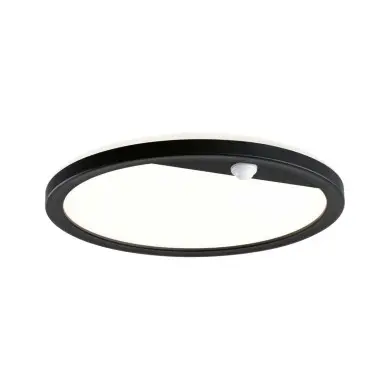 Plafonnier Extérieur Lamina 14,5W Noir H Paulmann 94664