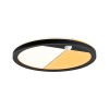 Plafonnier Extérieur Lamina 14W Noir H Paulmann 94708