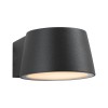 Applique Extérieur Capea 6W Anthracite 2200K Paulmann 94713