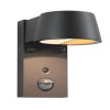 Applique Extérieur Capea 6W Anthracite 2200 - 3000K Paulmann 94714