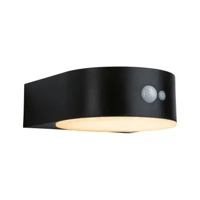 Applique Extérieur Solar Eileen 5,5W Noir 2200K Paulmann 94730