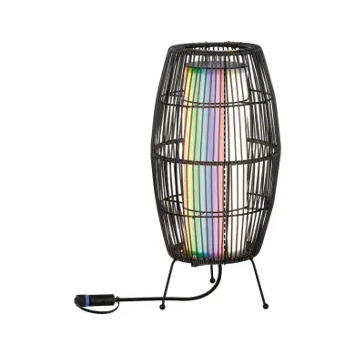 Lampe Extérieur Plug 3,2W Noir Paulmann 94754