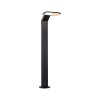 Borne Potelet Extérieur Zenera 10W Anthracite 2200 - 3000K Paulmann 94829