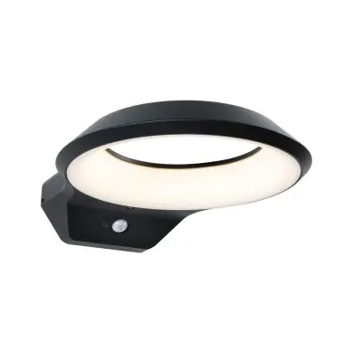 Applique Extérieur Anela 12,5W Anthracite Paulmann 94836
