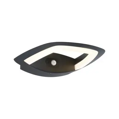 Applique Extérieur Akena 11W Anthracite Paulmann 94838