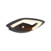 Applique Extérieur Akena 10,8W Anthracite Paulmann 94839