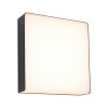 Applique Extérieur Azalena 8,5W Anthracite 3000K Paulmann 94840