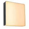 Applique Extérieur Azalena 8,5W Anthracite 2200 - 3000K Paulmann 94842