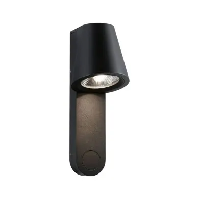 Applique Extérieur Caissa 9W Anthracite Paulmann 94862