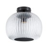 Plafonnier Salle de Bain Ruya 60W MAX E27 Verre, Noir mat Paulmann 71146
