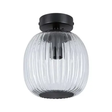 Plafonnier Salle de Bain Ruya 20W MAX E14 Verre, Noir mat Paulmann 71145