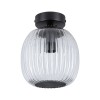 Plafonnier Salle de Bain Ruya 20W MAX E14 Verre, Noir mat Paulmann 71145