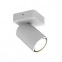 Spot SAL Blanc Mate 1x50W