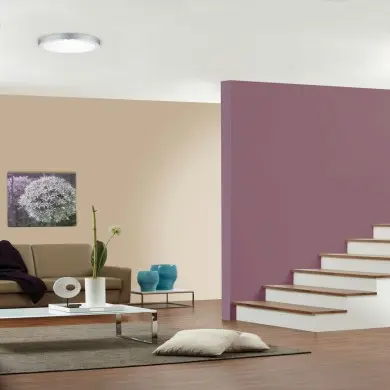 Plafonnier Lunar 22W Chrome mat D40 Paulmann 70656