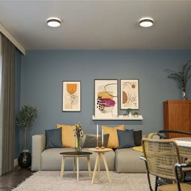 Plafonnier Salle de Bain Cosara 15W Gris foncé 3000K Paulmann 71053