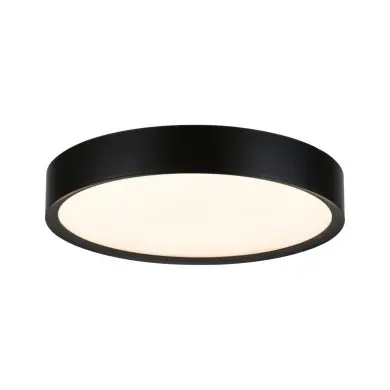 Plafonnier Salle de Bain Selection 22,5W Noir mat Paulmann 71086