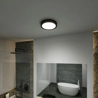 Plafonnier Salle de Bain Selection 22,5W Noir mat Paulmann 71086
