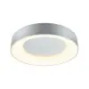 Plafonnier Salle de Bain Casca 23W Alu mat Paulmann 71095