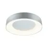 Plafonnier Salle de Bain Casca 23W Alu mat Paulmann 71095