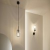 Suspension Salle de Bain Ruya 20W MAX E14 Verre, Noir mat Paulmann 71147
