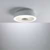 Plafonnier Salle de Bain Volea 3,5 & 13W Blanc, Argent Paulmann 71177