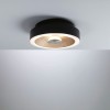 Plafonnier Salle de Bain Volea 3,5 & 13W Noir, Doré Paulmann 71178
