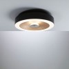 Plafonnier Salle de Bain Volea 4 & 18,5W Noir, Doré Paulmann 71180