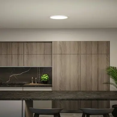 Plafonnier Alya 29W Blanc Paulmann 71187