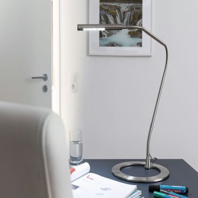 Lampe Plaza 3W Acier brossé Paulmann 74995