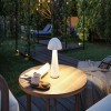 Lampe rechargeable Exteieur Onzo 2,6W Blanc Paulmann 76995