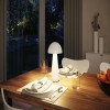 Lampe rechargeable Exteieur Onzo 2,6W Blanc Paulmann 76995