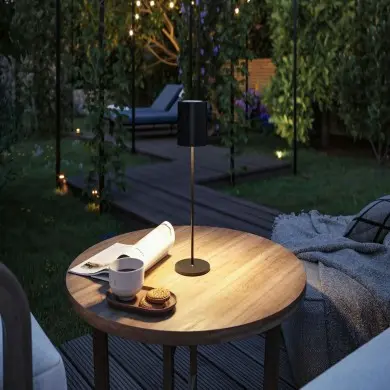 Lampe rechargeable Exterieur Tuni 2,8W Noir mat Paulmann 76998