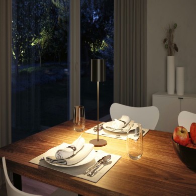 Lampe rechargeable Exterieur Tuni 2,8W Noir mat Paulmann 76998