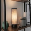 Lampe Pia 25W MAX E14 Noir mat Paulmann 77059