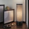 Lampe Pia 25W MAX E14 Noir mat Paulmann 77059