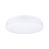 Plafonnier Salle de Bain Axin 18W MAX E27 Blanc Paulmann 78898