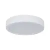 Plafonnier Salle de Bain Aviar 13W Blanc 3000K Paulmann 78923