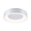 Plafonnier Salle de Bain Casca 23W Blanc Paulmann 78947