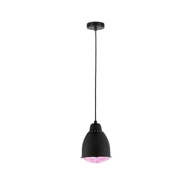 Suspension Neordic Hilla 40W MAX E27 Noir Paulmann 79763