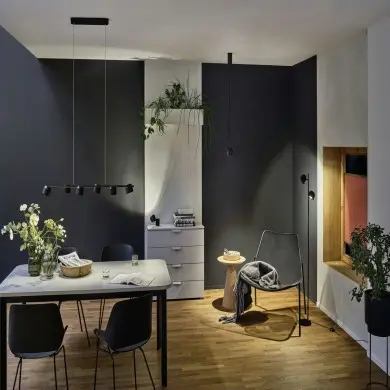 Suspension Puric Pane 6x4,5W Noir Paulmann 79773