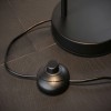 Lampadaire Puric Pane 2x3W Noir 2700K, intensité variable Paulmann 79775