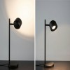 Lampe Puric Pane 4,5W Noir Paulmann 79782