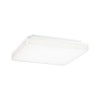 Plafonnier Salle de Bain Cela 15,5W Blanc dépoli Paulmann 79839